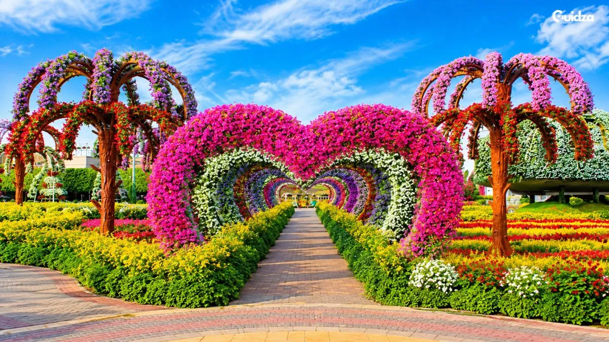 Dubai Miracle Garden